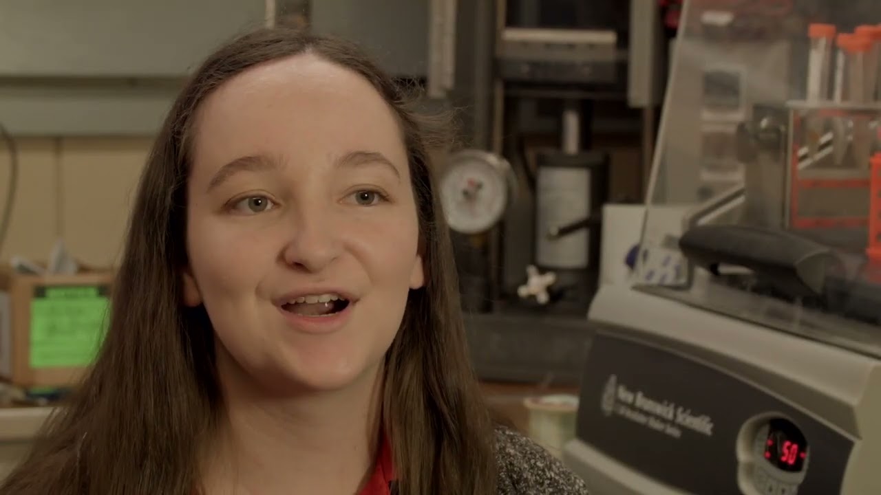 What is Industrial & Manufacturing Systems Engineering?