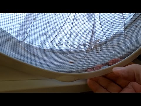 Fantastic Fan Cleaning The Screen!