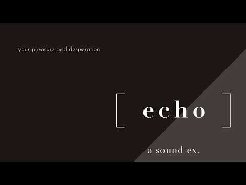 a sound ex. - echo (Lyric video)
