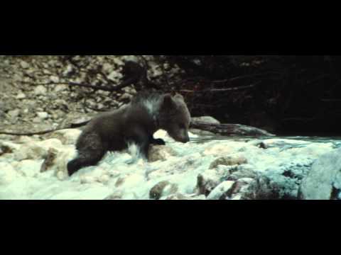 The Bear - Trailer