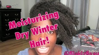 How To Moisturize Dry Hair for Good! | @jenellbstewart