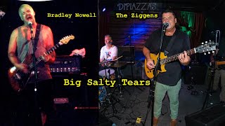 Bradley Nowell and The Ziggens Big Salty Tears