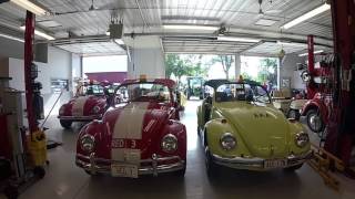 EAA's Fleet of Volkswagen Beetles