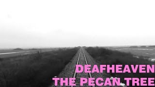 Deafheaven - The Pecan Tree