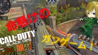(bo4)halriがガンゲーム！