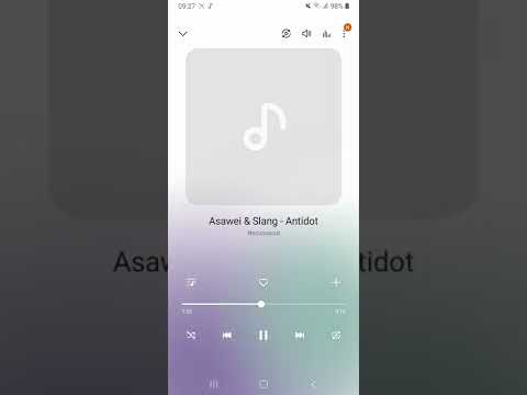 Slang & Asawei - antidot