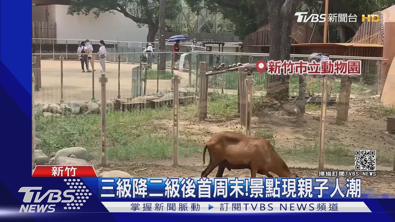 噓!竹市動物園重開放 遊客得「輕聲細語」