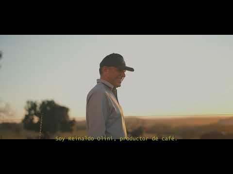 Fazenda Acauã, Araxá, Minas Gerais — Café de especialidad | San Agustín Origen