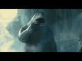 King Shark Ruler Of Everything
