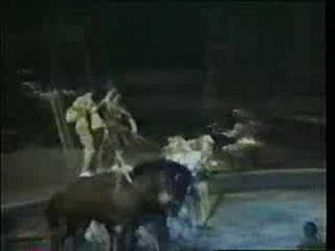 Alberto Zoppé Troupe, Equestrians in Madison Square Garden