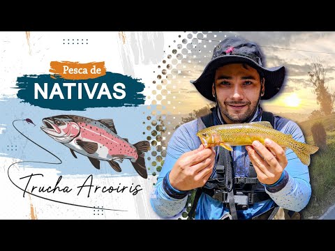 Pesca de Truchas Nativas en Río Cristalino | Labores de Belmira, Antioquia