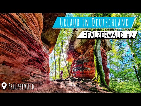 Kurzurlaub in Deutschland • Kurztrip in den Pfälzerwald 🌳 Reisetipps Corona