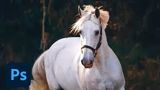 Photoshop Daily Creative Challenge - Natural Selections