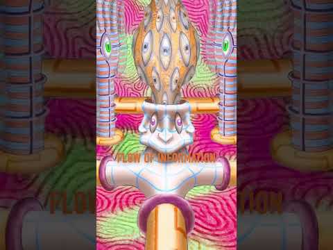 Your Brain on DMT 🪬