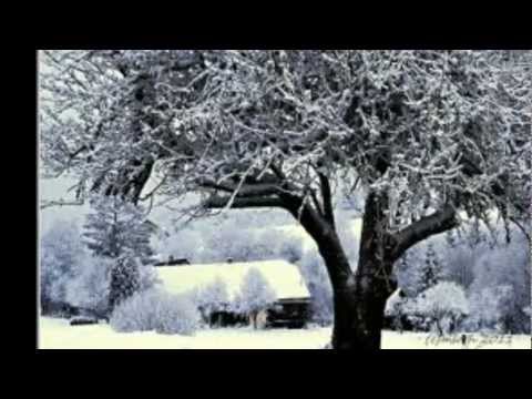 Pavol Hammel - Pieseň o stratenej vianočnej rozprávke