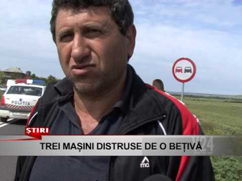 trei masini distruse de o betiva