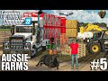 Building OPEN PASTURES and Buying COWS for $500.000 | AUSSIE FARMS | Farming Simulator 22 - Ep.5