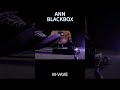 M VAVE New Product Release ANN BLACKBOX