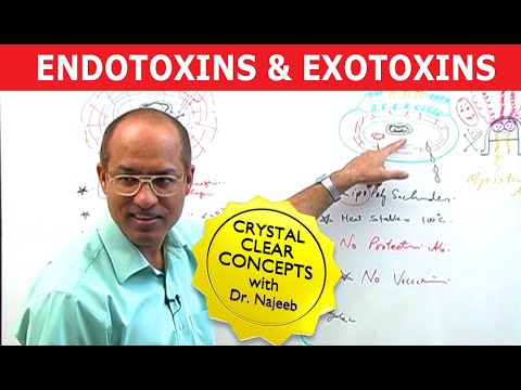 Endotoxins and Exotoxins
