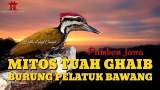 Download lagu Mitos Tuah Ghaib Burung Pelatuk Bawang Menurut Primbon Jawa mp3