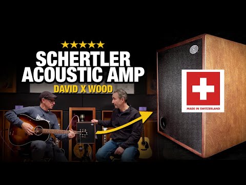 Schertler "Unico" Acoustic Guitar Amplifier w. Volume Pedal and Free Shipping image 7