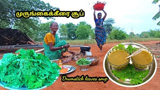 முருங்கைக் கீரையின் முழு சக்தியும் பெற இப்படி சூப்பு வைங்க l முருங்கைக்கீரை சூப்  l drumstick soup