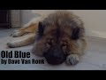 Old Blue by Dave Van Ronk - Cover