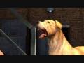 Gary Come Home ( The Movies Game ) 