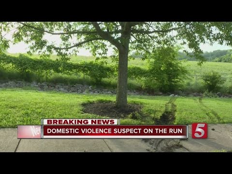 Domestic Violence Suspect On The Run