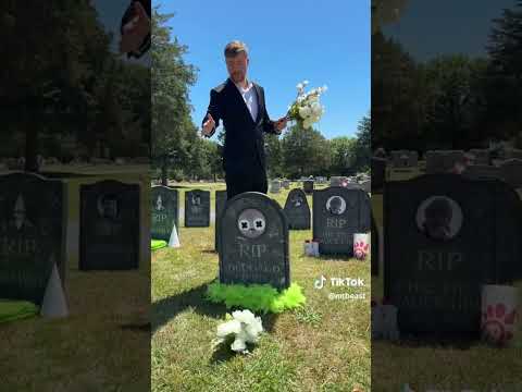 All DEAD Memes in 2025 🪦🪦🪦#mrbeast #2025 #rip #fyp