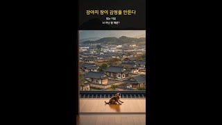 강아지 장이 감정을 만든다 #Shorts