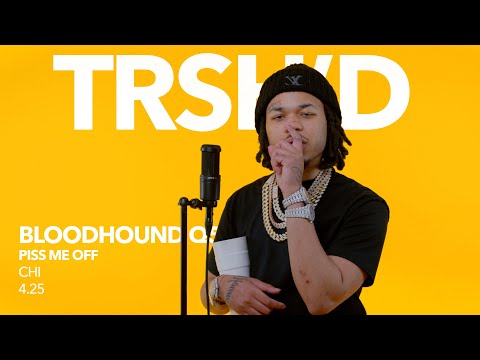 Bloodhound Q50 - Piss me Off | TRSHD Performance