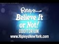 Ripley S Believe It Or Not Times Square