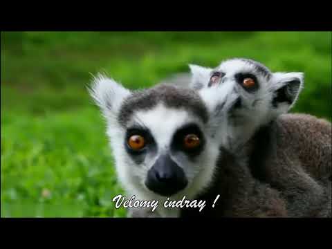 Ny Andiany   Tompoko sy Andriamanitro official lyrics video