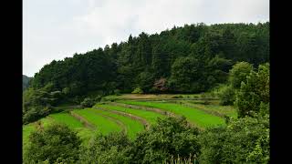 八百津棚田と五宝滝