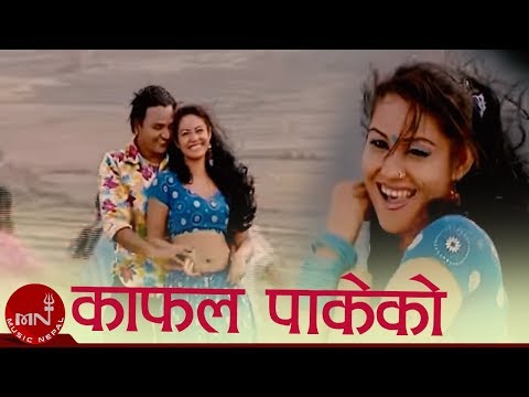 Nepali Lok Geet | Kafal Pakeko - Bimal Raj Chhetri & Devi Gharti | Shankar BC | Samjhana Budhathoki
