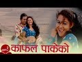 Nepali Lok Geet | Kafal Pakeko - Bimal Raj Chhetri & Devi Gharti | Shankar BC | Samjhana Budhathoki