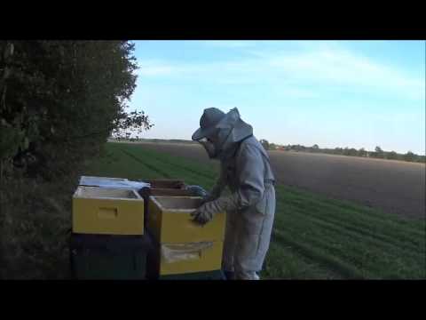 Foderpump till biodling