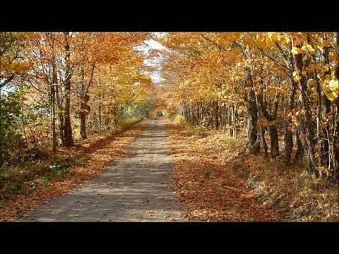 DJ Frederik - I Have A Dream (Original Mix)