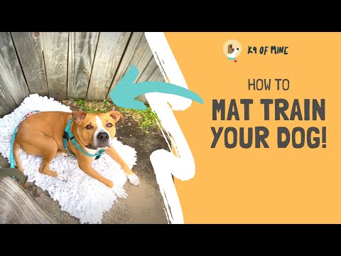 Dog Mat Training: Teaching Your Dog to Relax on a Mat!
