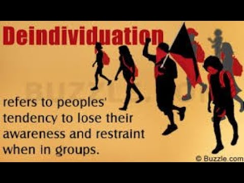 PREVIEW: DEINDIVIDUATION AS AN EXPLANATION OF AGGRESSION