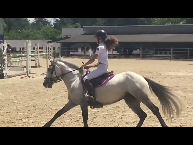 Equilibre, coup de saut, facilit&eacute;, belle locomotion