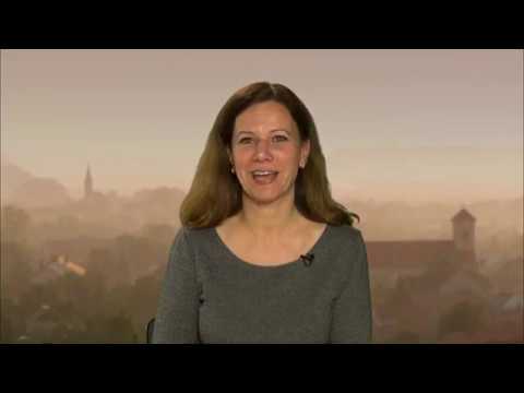 JTV Híradó 2019/08 - 2019.02.24.