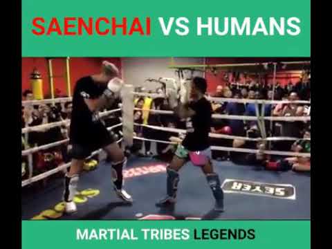 Saenchai Vs Giants
