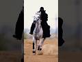 Kamro Aman Aman Muslimah Shorts Trending Islam Hijab Muslimah Horse Shortsfeed Ytshorts