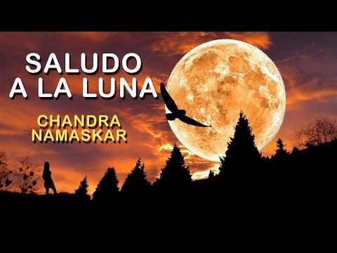 Saludo a la luna. Chandra Namaskar