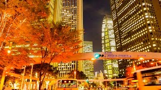 [ 4K Ultra HD ] 東京の紅葉 Autumn Color in TOKYO (3-axis gimbal stabilizer)