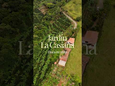 ☕🌿 FINCA CAFETERA EN VENTA | JARDÍN, ANTIOQUIA