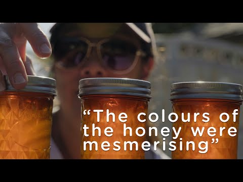 How Bees Can Transform Your Backyard Into A Sustainable Paradise