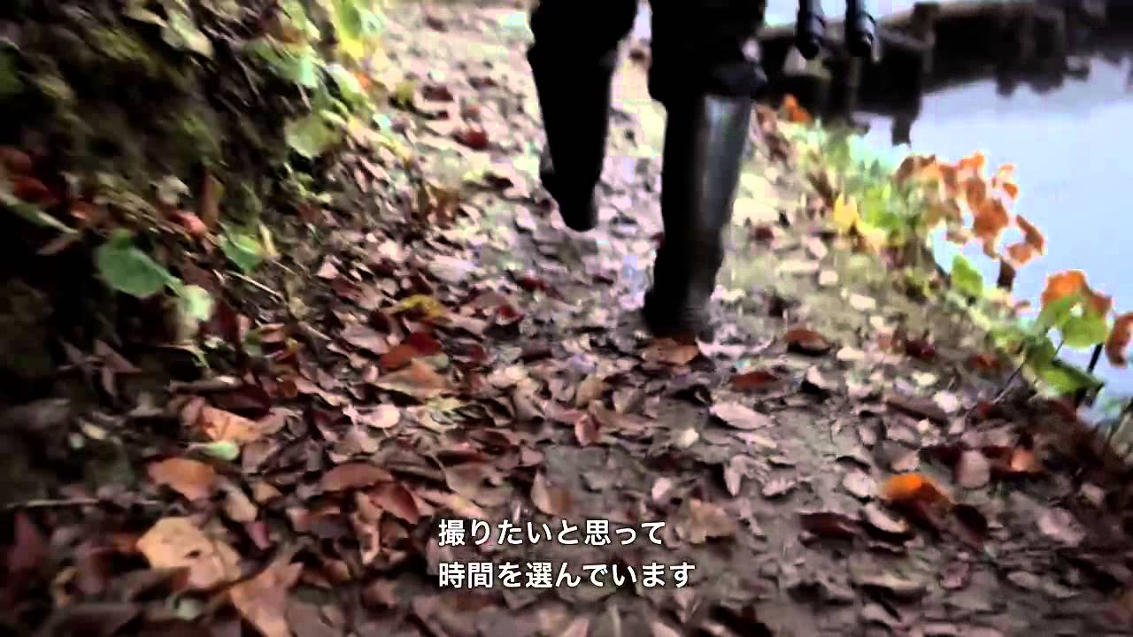 Архив_Nikon 20mm f/1.8G ED AF-S Nikkor